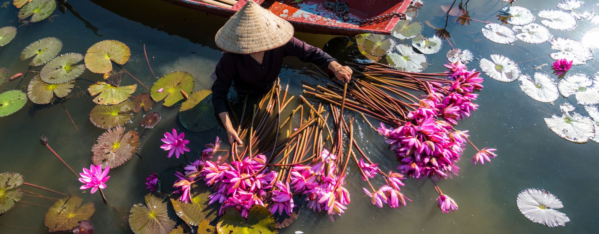 Things to do in Vietnam: top experiences you can’t miss